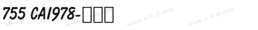 755 CAI978字体转换